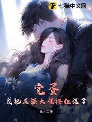 ��������Ҫ��飬�������������