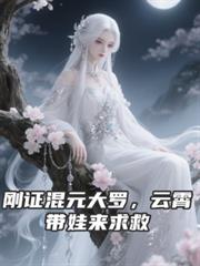 ��֤��Ԫ���ޣ��������������